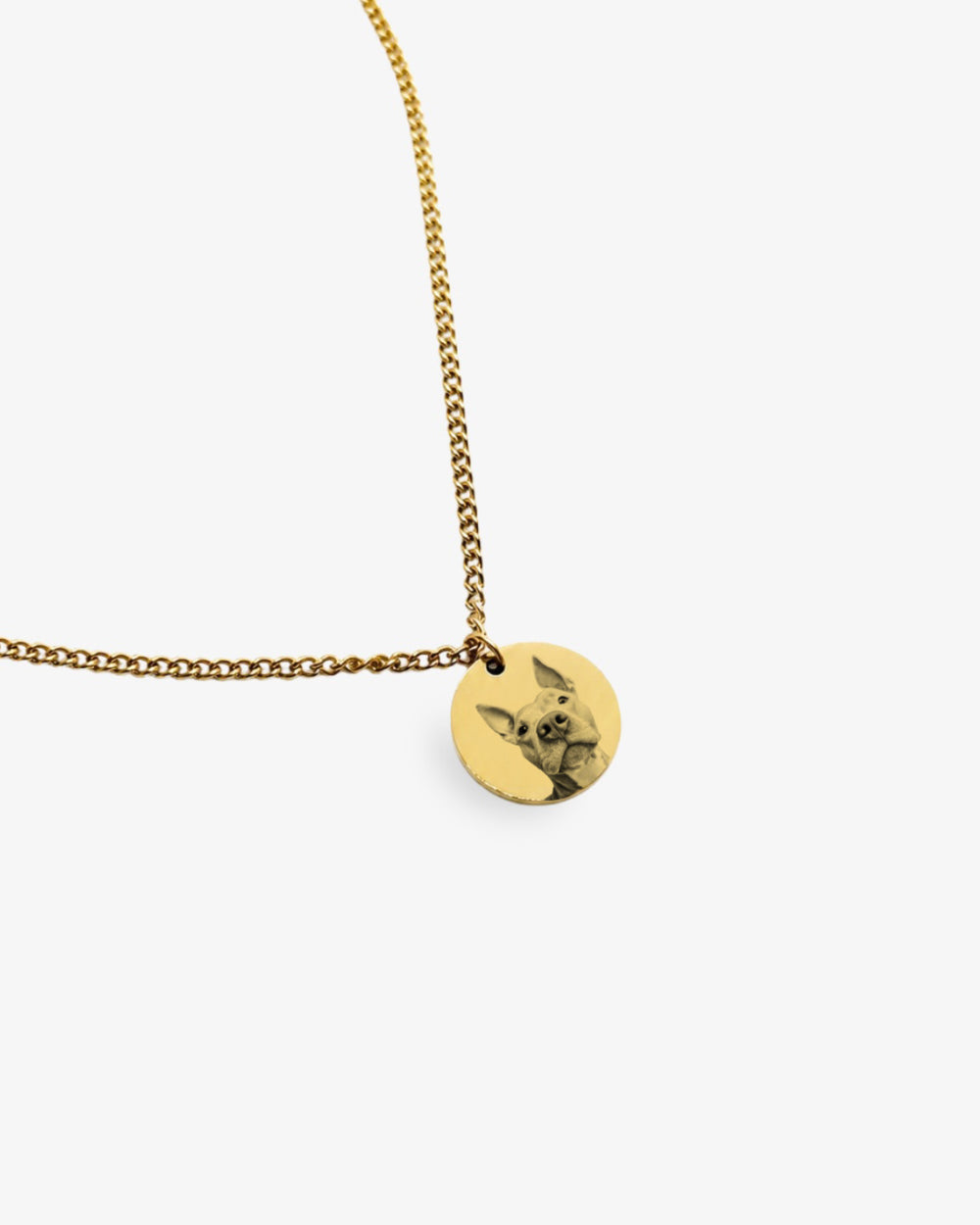 Colar Personalizado - Foto de Animal de Estimação