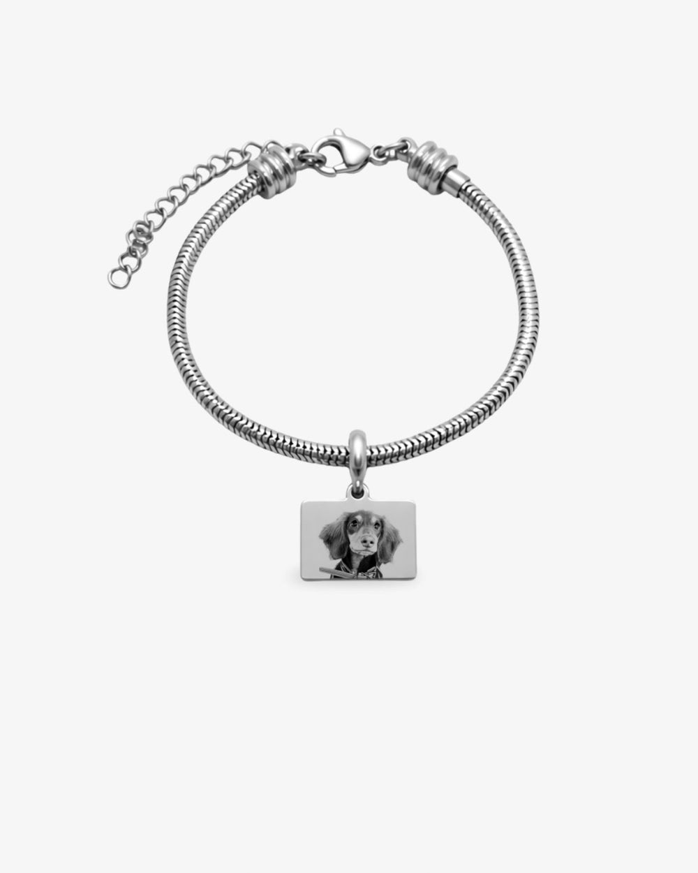 Gianeli Bracelet - Pet Photo